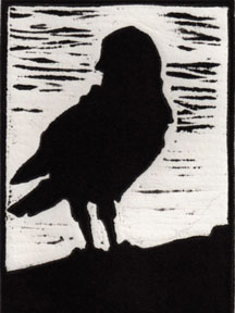 crow